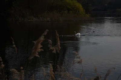 DSC_6891 (Large).JPG